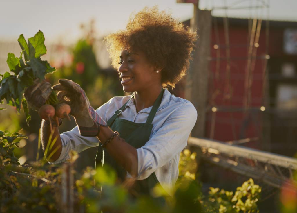 Agriculture Insurance